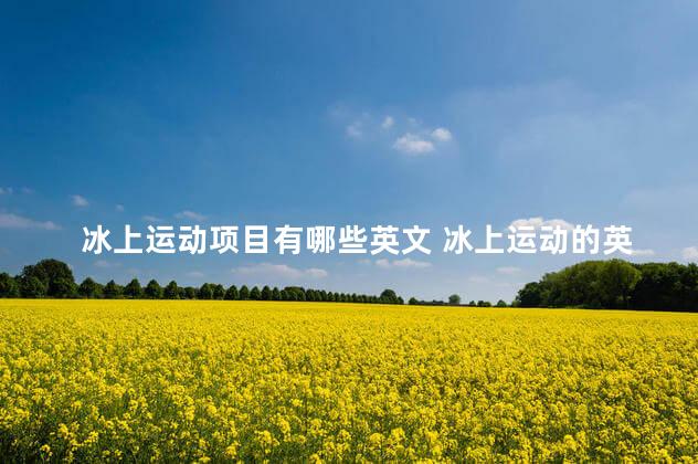 冰上运动项目有哪些英文 冰上运动的英语有哪些